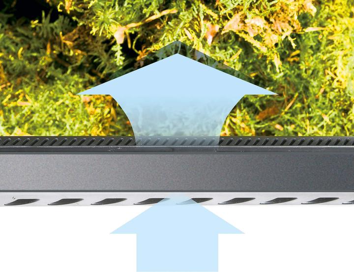Image du produit Exo Terra Forêt tropicale
