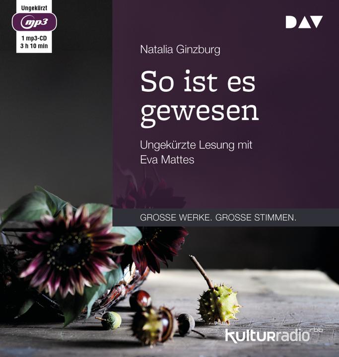 Produktbild So ist es gewesen (Natalia Ginzburg, Deutsch)