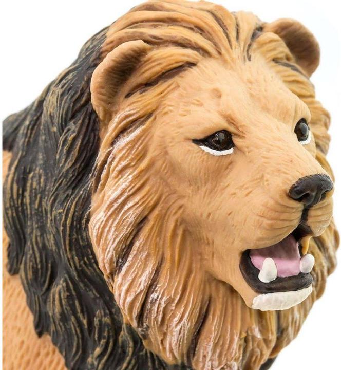 Image du produit Safari Lion d'Angola