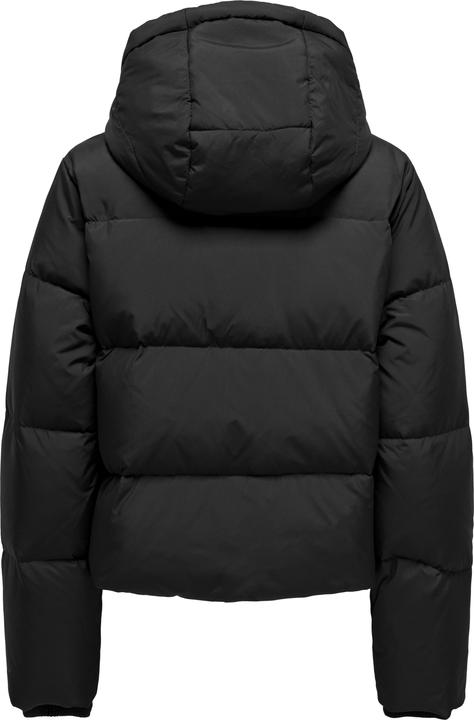 Image du produit Only ONLALICE Veste Veste (M)