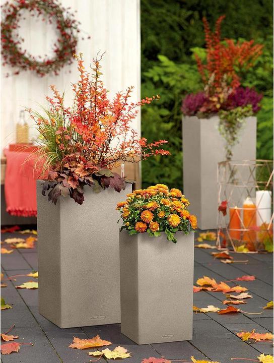 Actual product image Lechuza Canto Stone (40 cm)