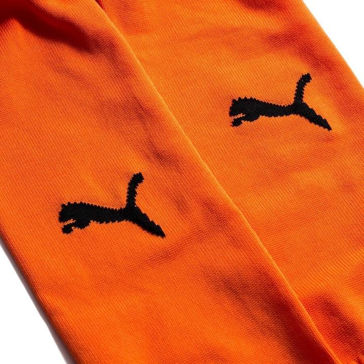 Actual product image Puma Team LIGA Socks CORE-703441 (47 - 49)