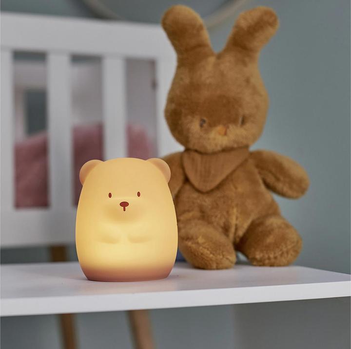 Image du produit Nattou Ours