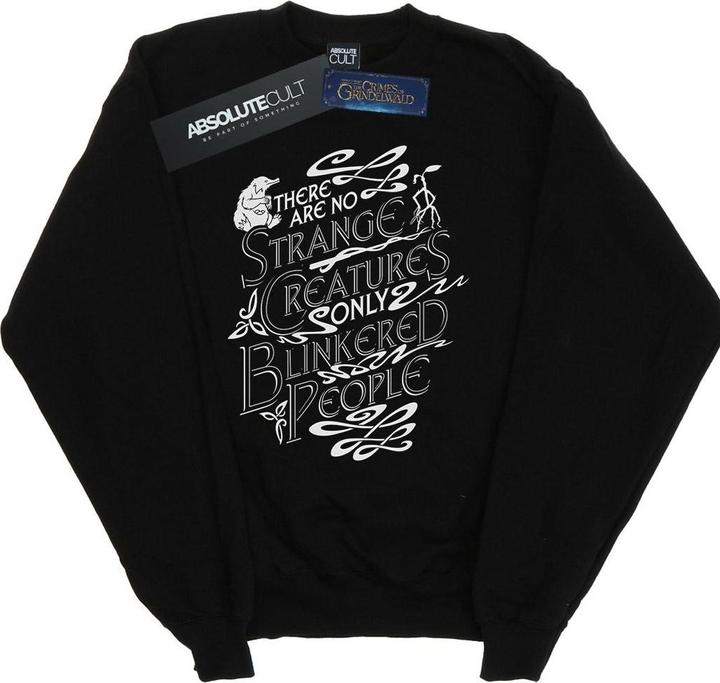 Actual product image Fantastic Beasts Mens Strange Creatures Sweatshirt (M)