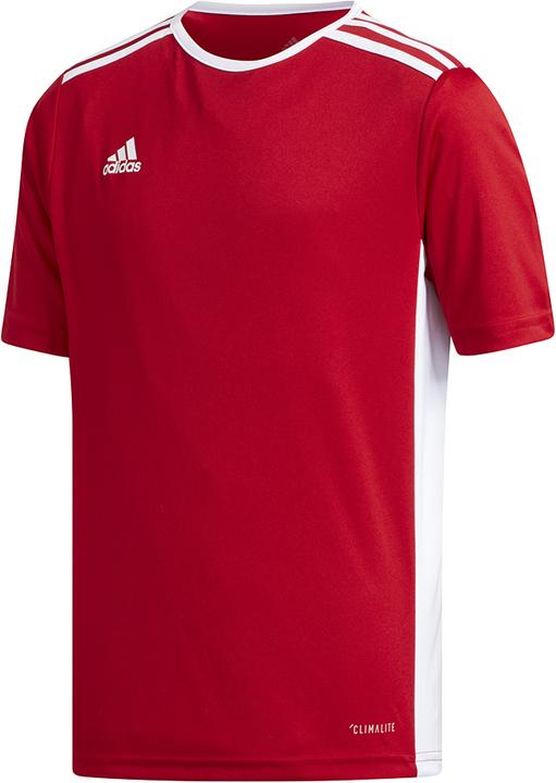 Actual product image adidas Entrada 18 Jersey Kids (128)
