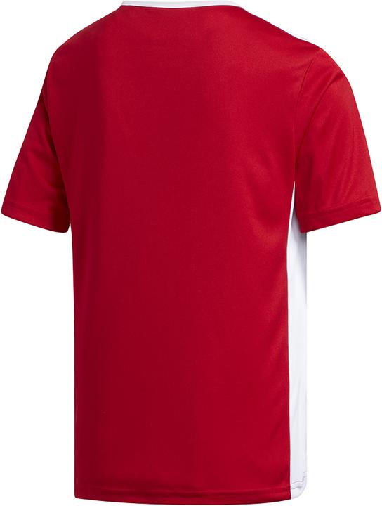 Actual product image adidas Entrada 18 Jersey Kids (128)