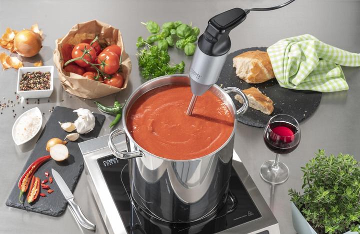 Actual product image Siena Garden Hand Blender HB 2400 XL Pro