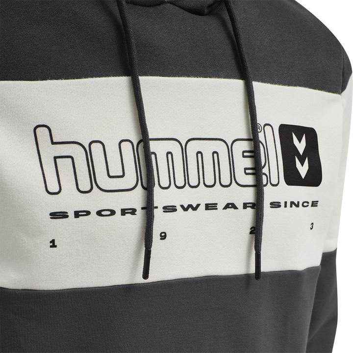 Produktbild hummel Lgc Musa Hoodie (L)
