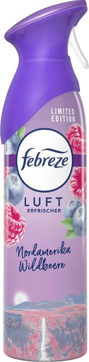 Actual product image Febreze Winter magic