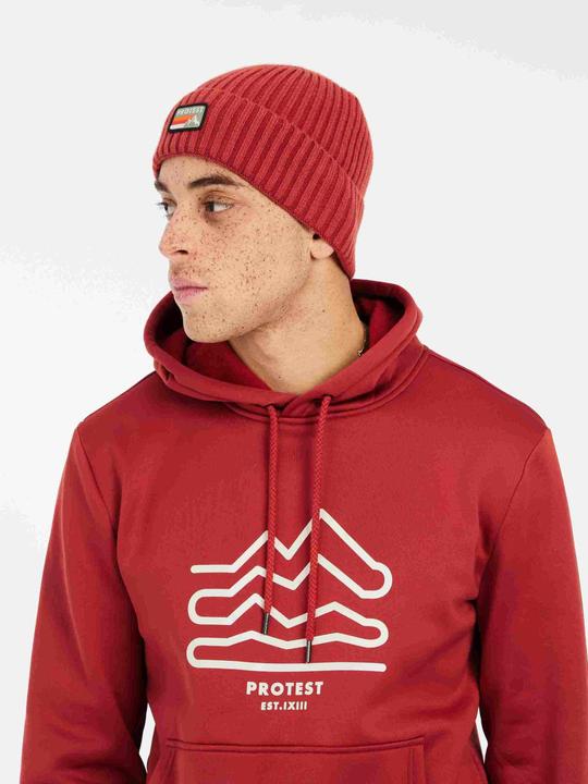 Protest Hoodies PRTKERRA