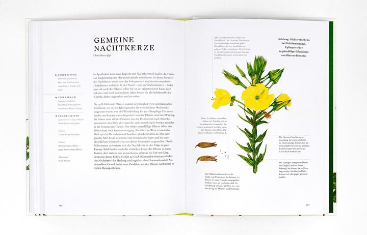 Produktbild Essbare Wildpflanzen (Deutsch, Liz Knight, Wiebke Krabbe, Rachel Pedder-Smith, 2021)