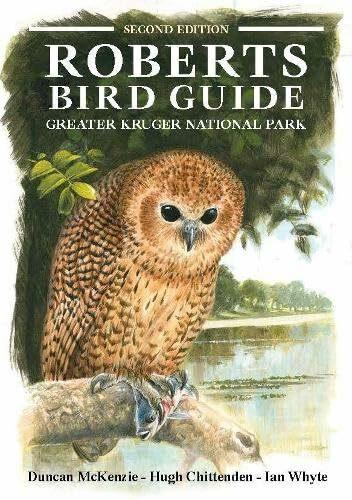 Actual product image Roberts Bird Guide Greater Kruger National Park (English, Ian Whyte, Hugh Chittenden, Duncan McKenzie, 2024)