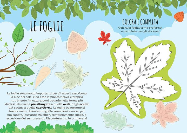 Actual product image Sassi Giochi di carte. Dubito! La natura