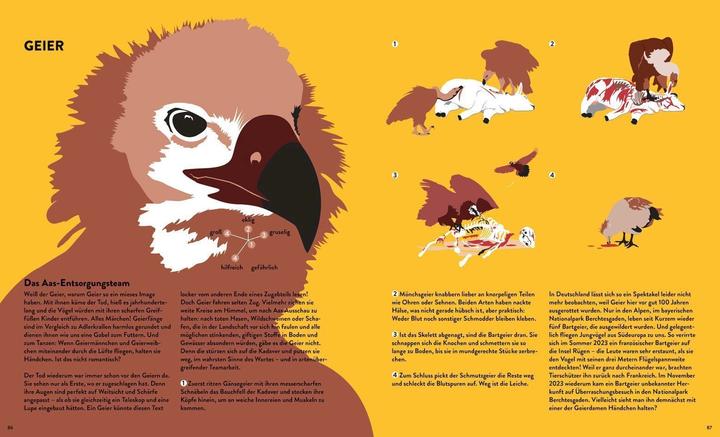 Immagine prodotto Tessloff Stinker, Sauger, Schleimer. 22 grossartige Gruseltiere (Tedesco, Katja Trippel, Ole Häntzschel, 2024)