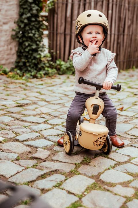 Actual product image Scoot and Ride Highwaykick