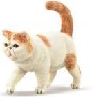 Actual product image Collecta Exotische Kurzhaarkatze