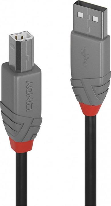 Image du produit Lindy USB A-Usb B (5 m, USB 2.0)