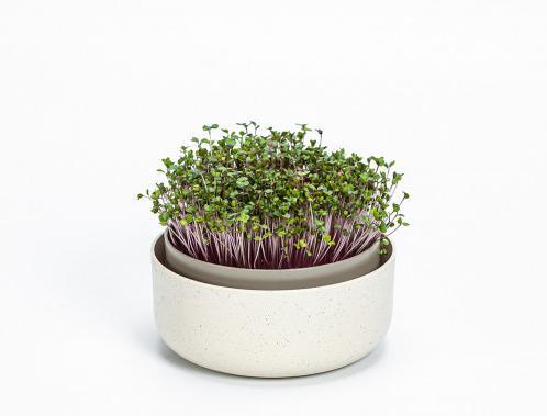 Produktbild Plastia Keimsprosskit Urbalive