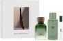 Actual product image Adolfo Dominguez A.D. Agua Fresca Vetiver Tierra Edt Spray 120 ml Sets (Eau de parfum, 120 ml)