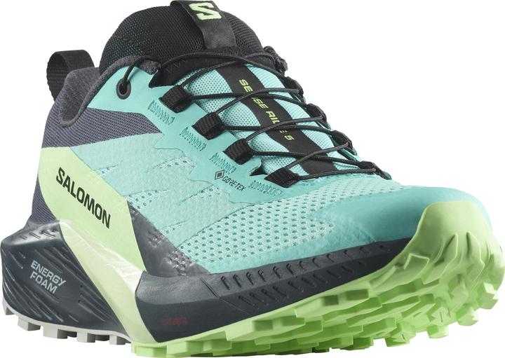 Immagine prodotto Salomon Sense Ride 5 GTX W 472160 38 2/3 (39)