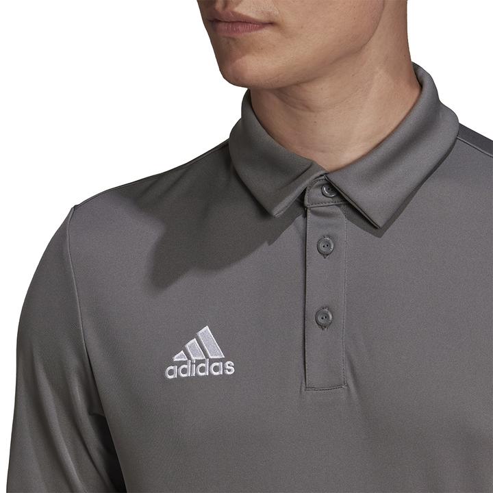 Actual product image adidas Entrada 22 polo shirt men (XXL)