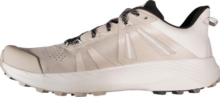 Immagine prodotto Mammut Saentis TR Low GTX Uomo (45.5)