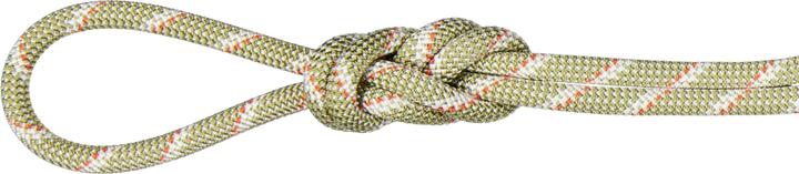 Produktbild Mammut 8.0 Alpine Classic Kletterseil (60 m)