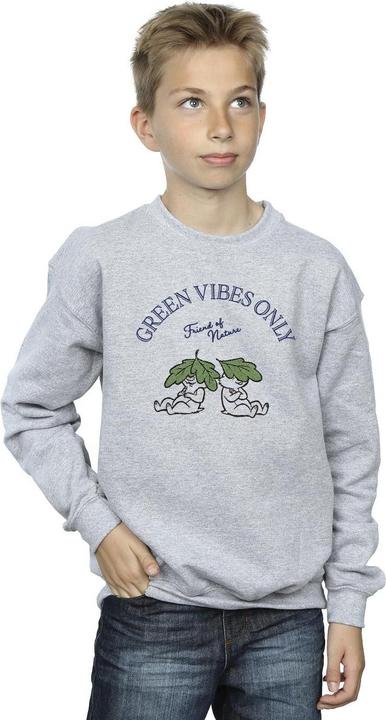 Image du produit Disney - Sweat CHIP 'N DALE GREEN VIBES ONLY - Garçon (152, 158)