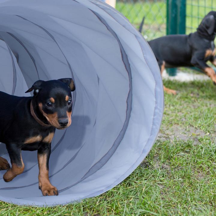 Produktbild Relaxdays Hundetunnel