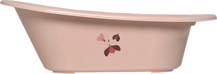 Sweet Butterfly
