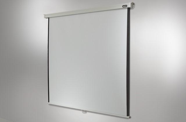Produktbild Celexon Rollo Professional, Leinwand, 1:1 (97.24", 1:1)