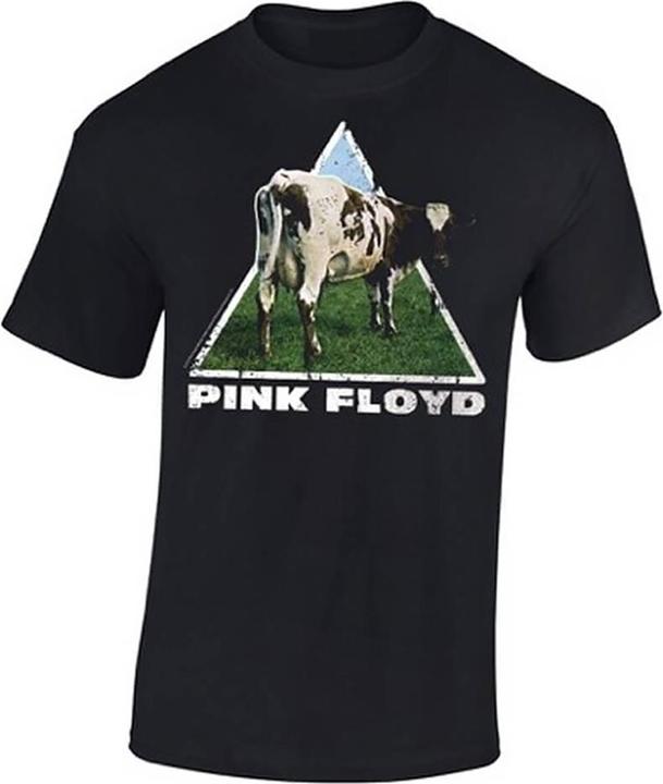 Pink Floyd Atom Heart