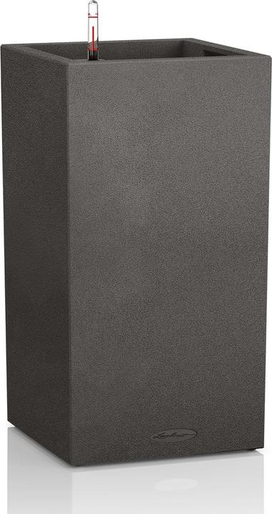 Actual product image Lechuza Canto Stone (40 cm)