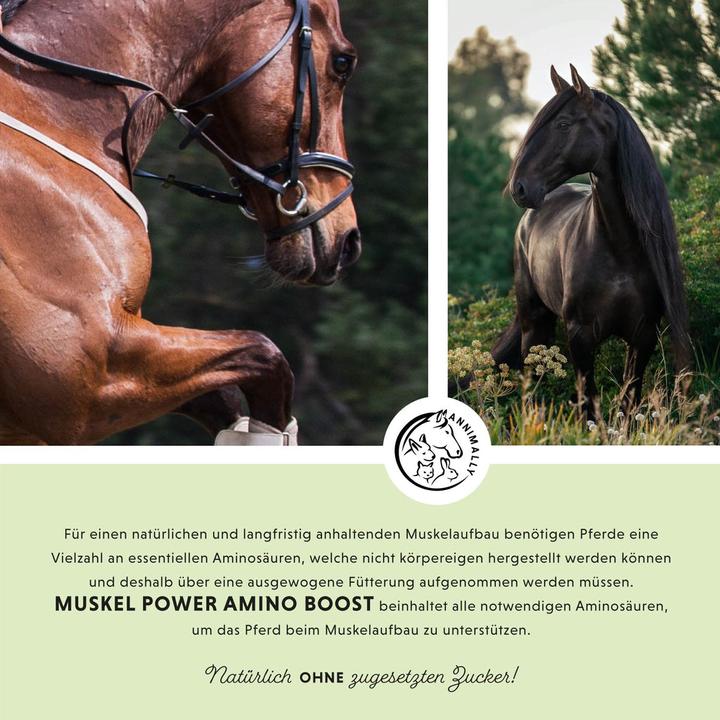 Image du produit Annimally Poudre de puissance musculaire (700 g)