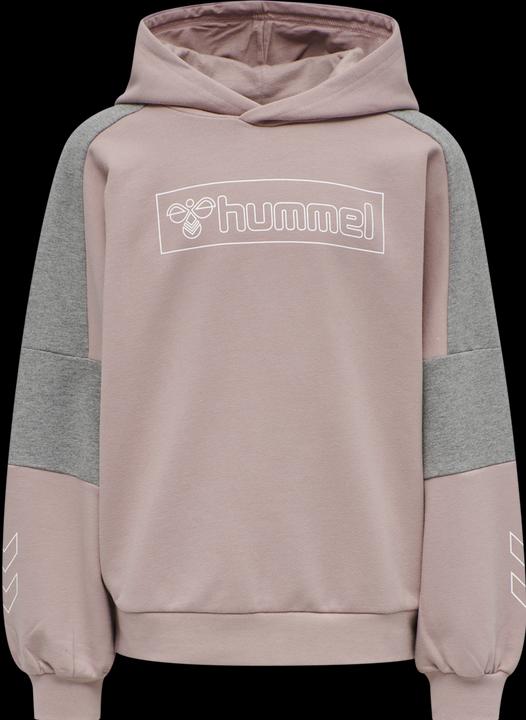 Immagine prodotto hummel Felpa Con Cappuccio Boxline (116)