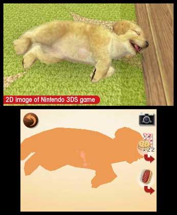Produktbild Nintendo Nintendogs + Cats: Golden Retriever (3DS, Multilingual)