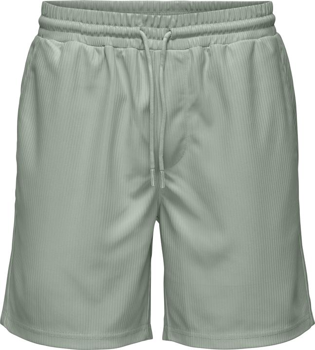 Only & Sons Onstel Life Plizze Shorts Noos