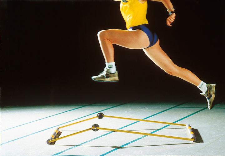 Actual product image Sypro Zacharias Hurdle Classic (3500 g)