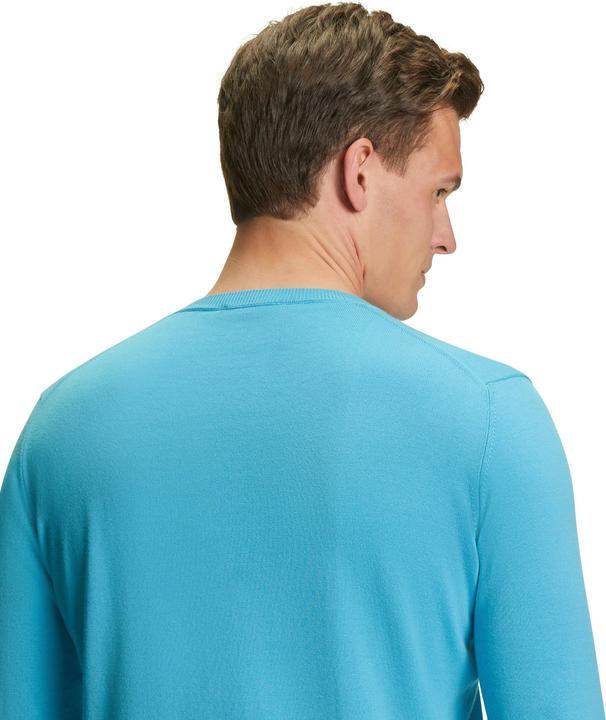 Actual product image Falke Men Pullover (S)