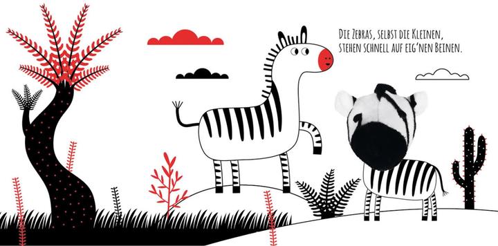 Actual product image Kontrastbuch für Babys Guck mal, kleines Zebra (German)