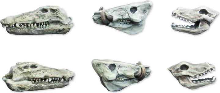 Actual product image Tabletop-Art Accessories Animals Skulls Set 6 pieces (Plastic)