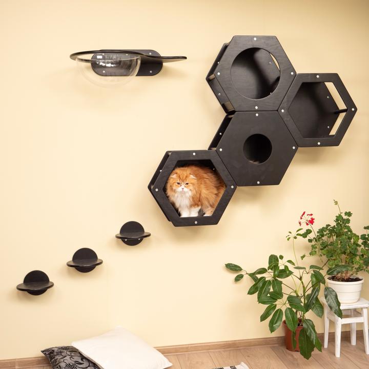 Produktbild Wowhelperco Kletterwand für Katzen 8-teilig (Schwarz)