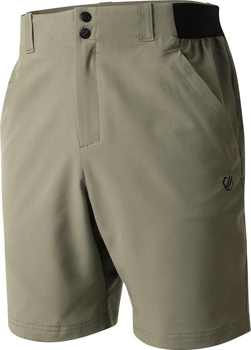 Actual product image Dare2b Mens Torrek II Walking Shorts (48 D)