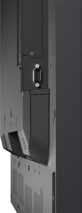 Actual product image NEC P435 43 INCH P-Series Large Format Display (3840 x 2160 Pixels, 43")