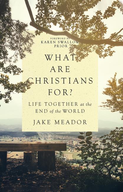 Actual product image What Are Christians For?: Life Together at the End of the World (English, Jake Meador, Karen Swallow Prior, 2022)