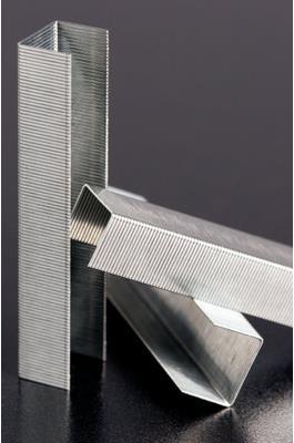 Actual product image Leitz Power Performance P6 (1000 x)