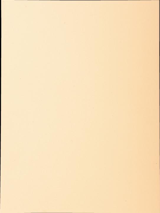 Sable