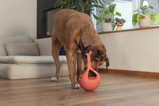 Image du produit Beeztees Jouet en caoutchouc pour chien Wiggle-X