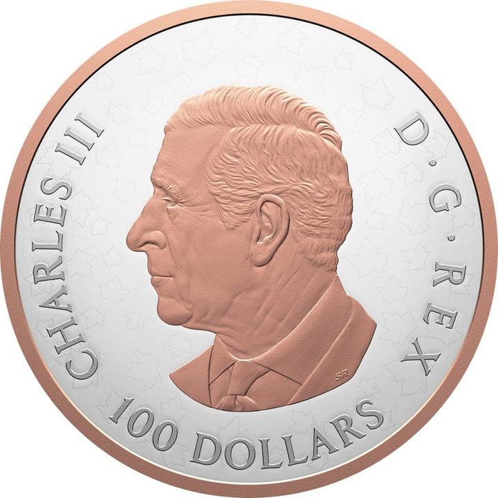 Produktbild The Royal Mint Silber Gleaming Maple Leaf 10 oz PP - 2025 (1.00, 2025)
