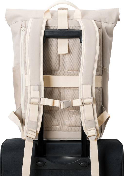 Immagine prodotto Johnny Urban Allen (18.50 l)